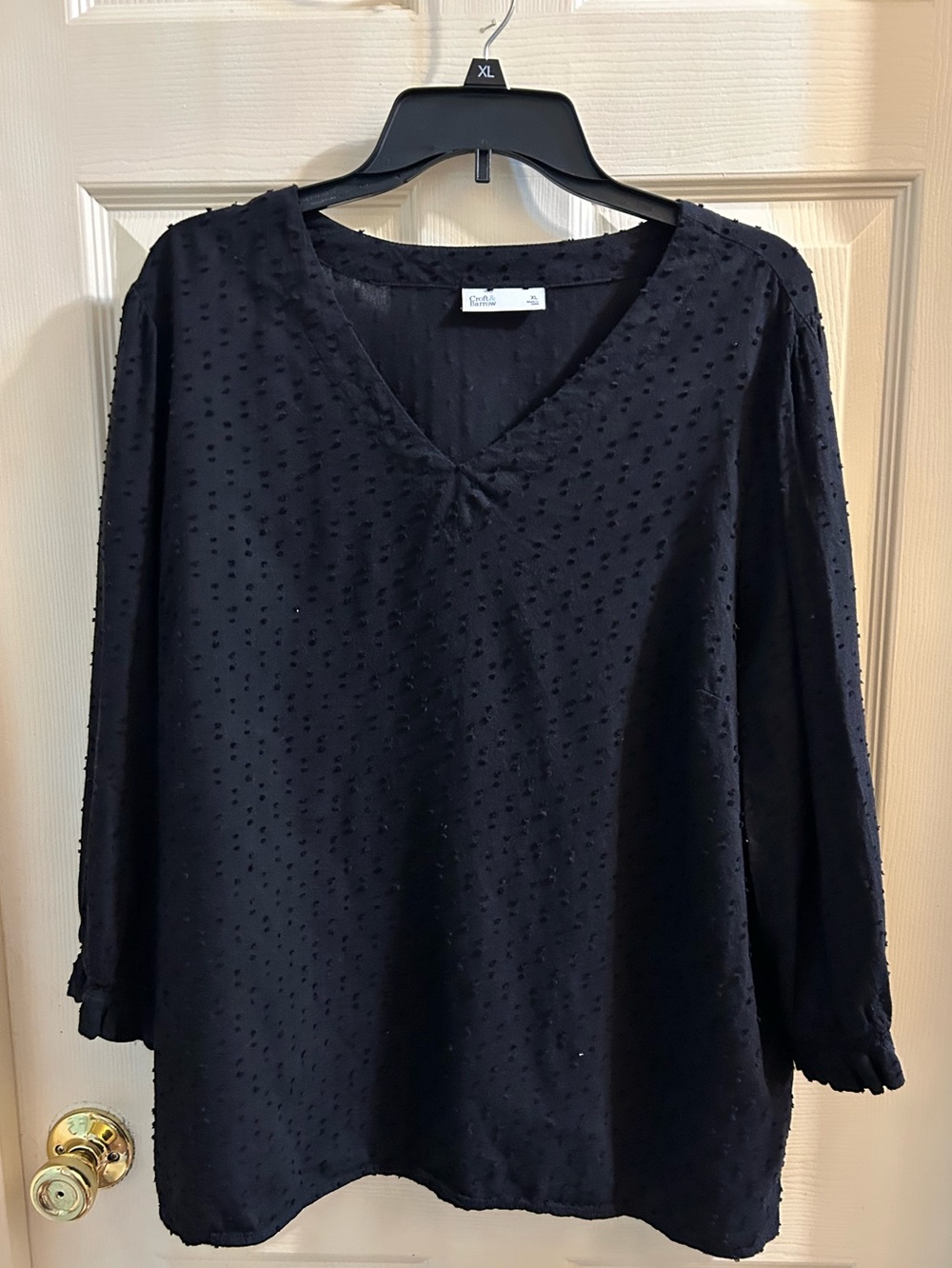 CHARLIE B Black V-Neck Swiss Dot Blouse